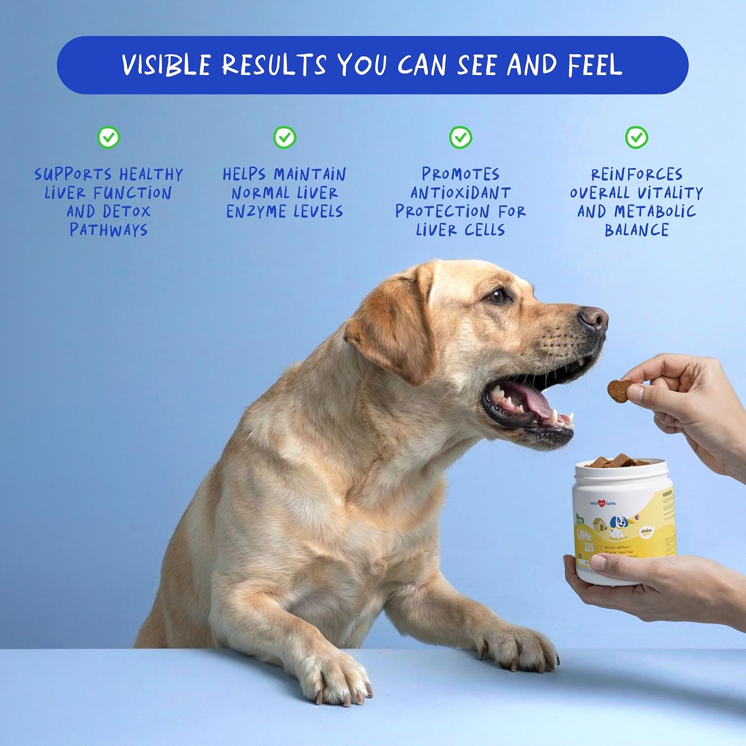 SAMe for Dogs 90 Soft Chews - Liver, Brain & Cognitive Support | S-Adenosyl-L-Methionine in 90 soft chews. Promotes liver function, cognitive support & mood balance for dogs. - görsel 3