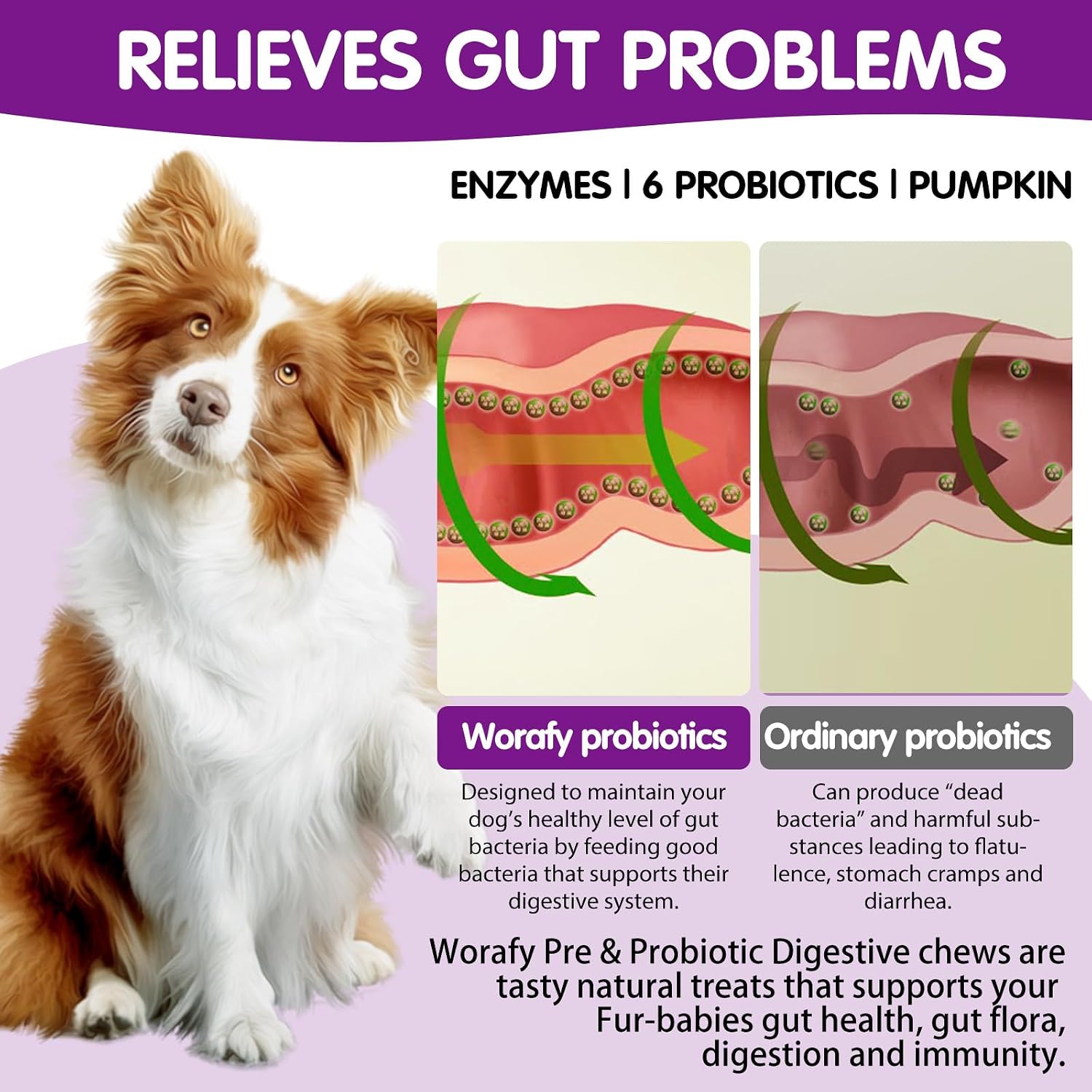 Probiotics for Dogs – Digestive & Coat Health – 120 Soft Chews - görsel 5