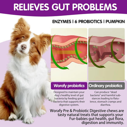 Probiotics for Dogs – Digestive & Coat Health – 120 Soft Chews