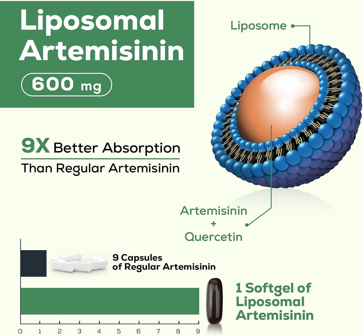 900 mg Liposomal Artemisia Annua for Maximum Absorption, Sweet Wormwood Extract (Artemisia Annua) with Quercetin Phytosome 200 mg, 120 Soft gel capsules - görsel 2