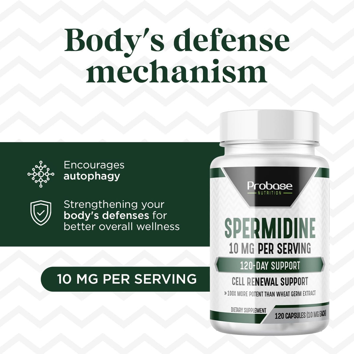 Probase Nutrition Spermidine (10 mg of 99% Spermidine 3HCL – Third-Party Tested) 120 Capsules - görsel 5