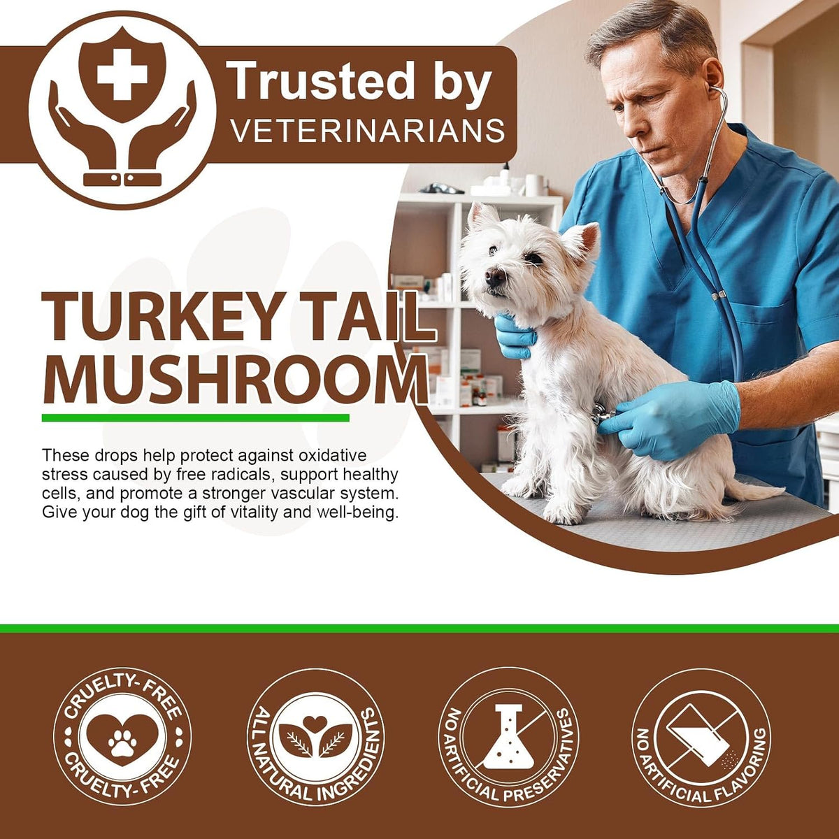 Turkey Tail Mushroom for Dogs – Fast-Absorbing Liquid Drops for Immune, Digestive and Joint Support with Turmeric & Probiotic (60ml) - görsel 7