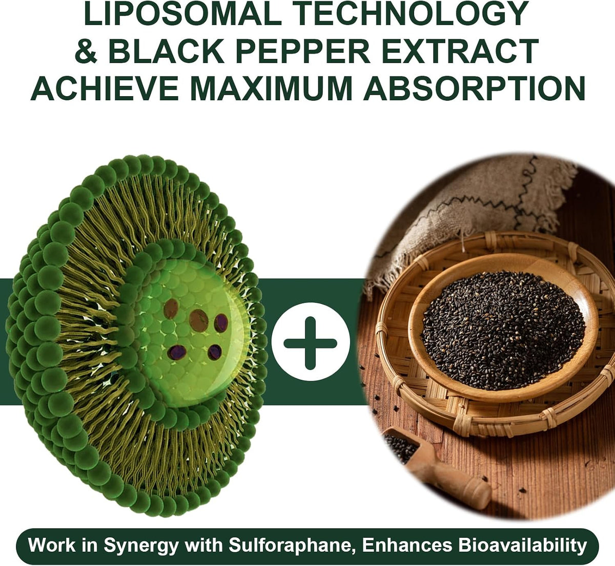 Liposomal Sulforaphane Supplement - 900mg Broccoli Extract - 60 Capsules - görsel 3
