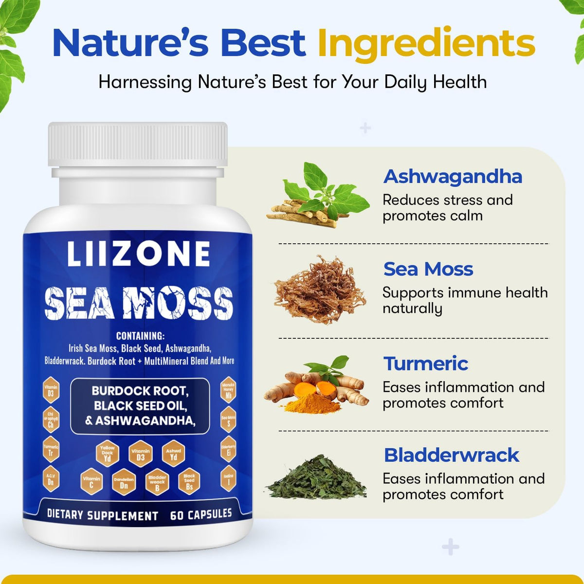 LIIZONE Complex Sea Moss Capsules with Ashwagandha, Turmeric & Vitamin C, 60 Capsules - görsel 3