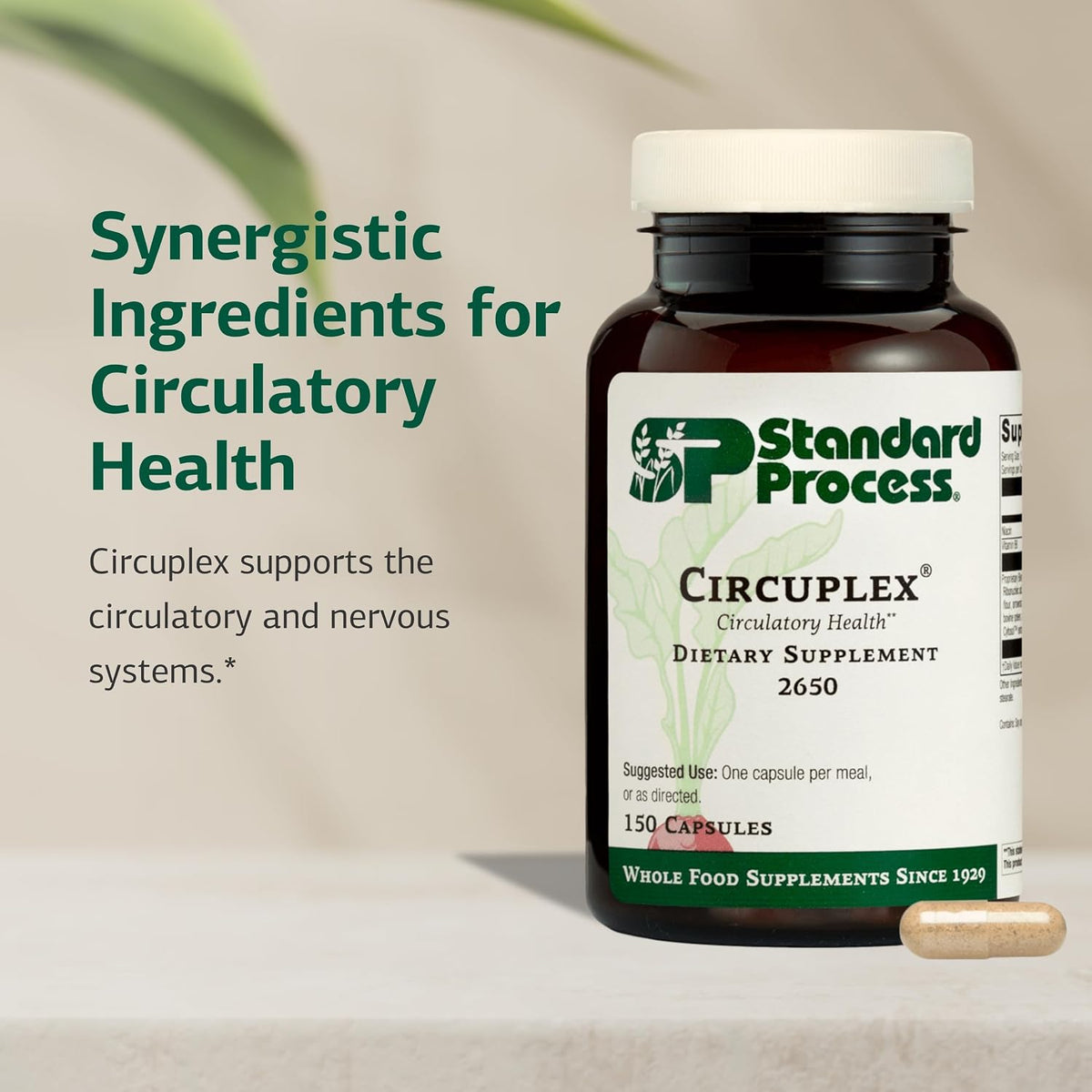 Standard Process Circuplex - Vascular & Nervous System Support - Blood Health Supplement with Niacin & Vitamin B6 - Non-Dairy, Whole Food-Based Supplement - 150 Capsules - görsel 3