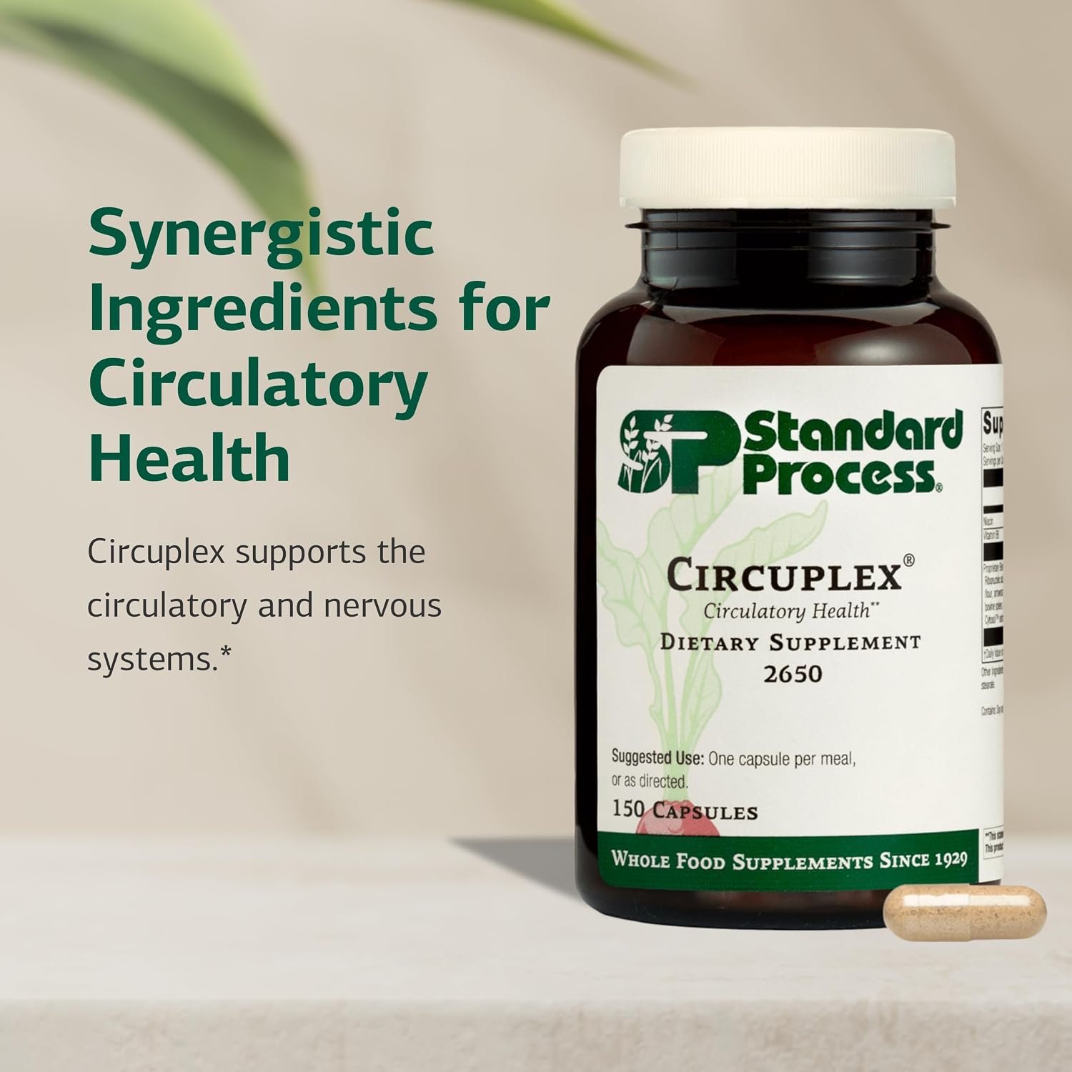 Standard Process Circuplex - Vascular & Nervous System Support - Blood Health Supplement with Niacin & Vitamin B6 - Non-Dairy, Whole Food-Based Supplement - 150 Capsules - görsel 3