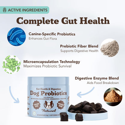 Natural Dog Company Probiotics for Dogs – Dog Probiotic Chews with 1B CFU, Canine-Specific Microencapsulated Strains, Prebiotics & Enzymes for Digestive Health, Stool Quality & Immune Support, 45 Chews