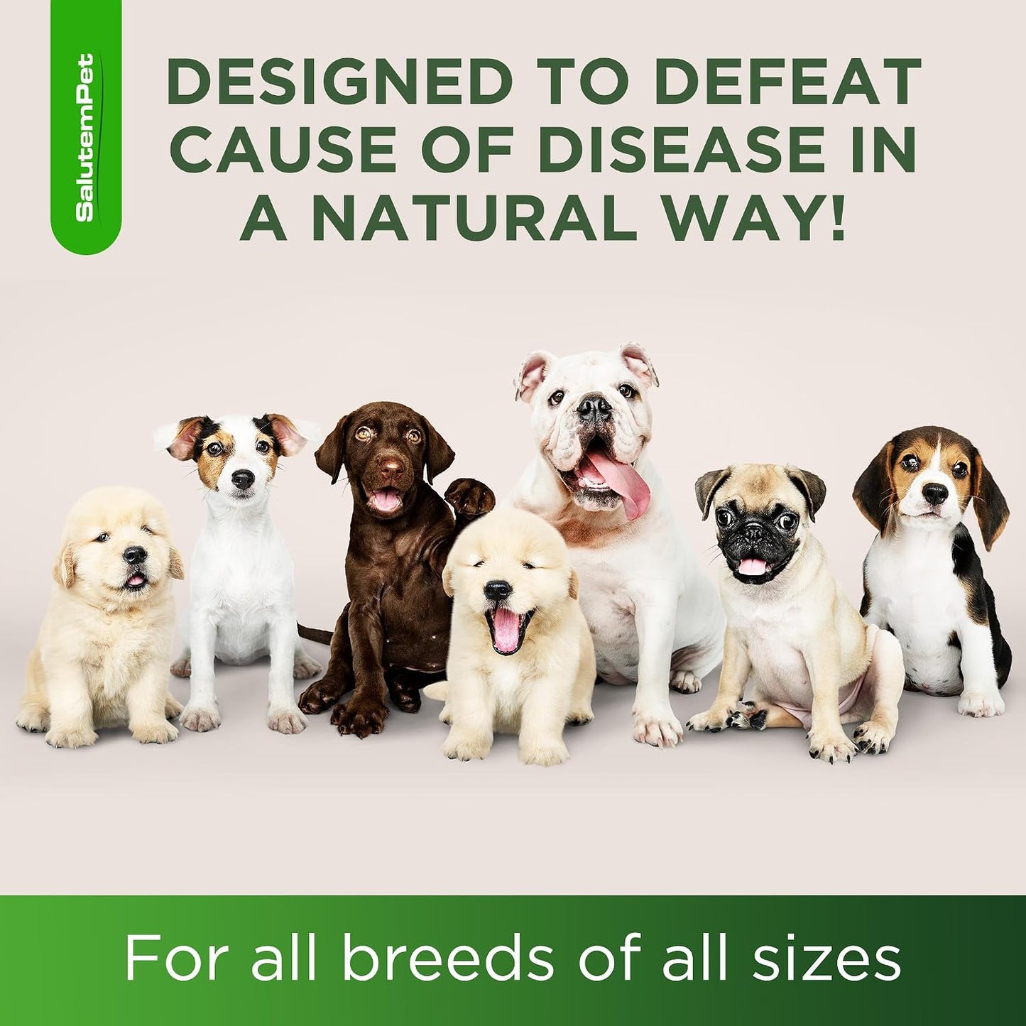 Natural Antibiotics for Dogs and Puppies – Herbal Ingredients – Bacon Flavour – 2 oz Liquid - görsel 6