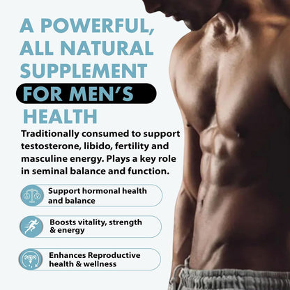 Primal Being Grass-Fed Beef Testes Capsules – Nutrient-Dense Beef Organ Supplement for Men, New Zealand Sourced, 120 Capsules
