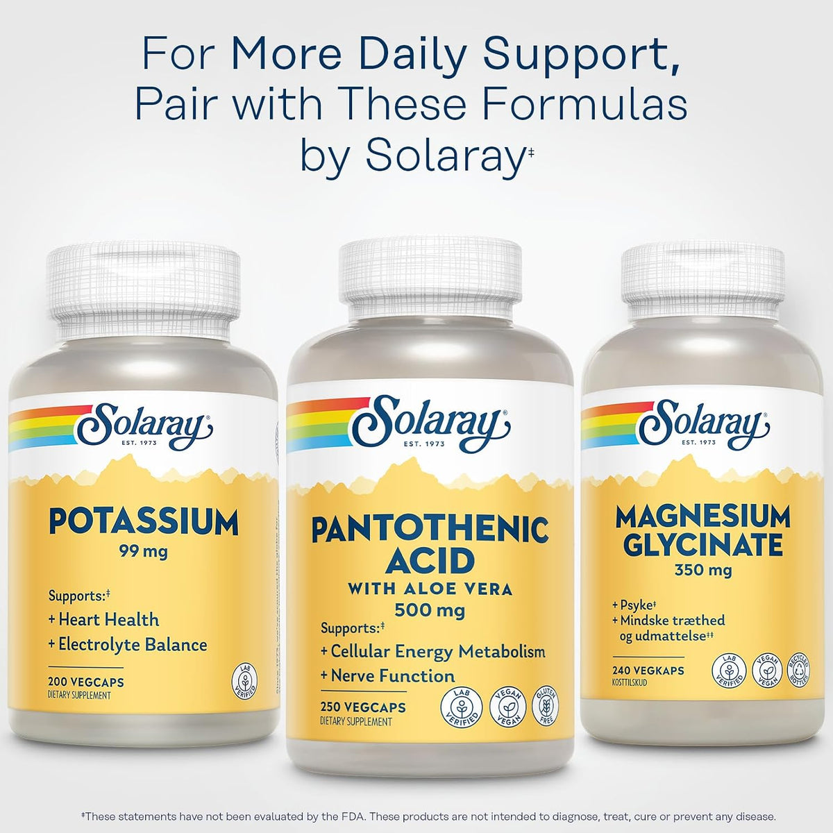 SOLARAY Pantothenic Acid 500mg – Vitamin B5 Supplement for Cellular Energy Support - görsel 6