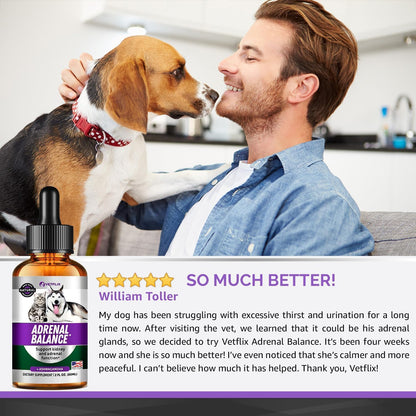 Adrenal Support Liquid Supplement for Dogs, Cats, Puppies and Kittens, 60 ml