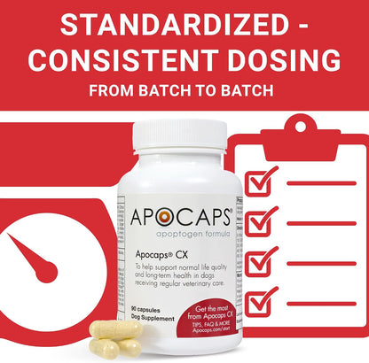 Apocaps CX Vet-Formulated Apoptogen Formula for Dogs - Milk Thistle, Turmeric, Apigenin & Luteolin - Formulated to Help Maintain Normal Cell Renewal, Immune & Liver Health - Senior Dogs - 90 Capsules