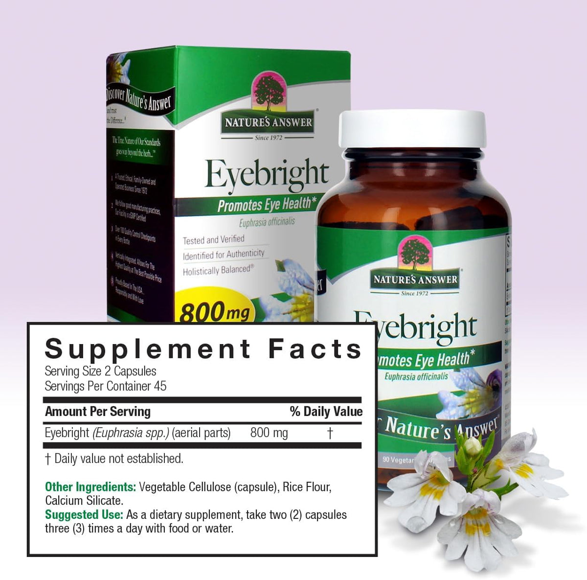 Nature's Answer Eyebright Herb 90 Capsules - görsel 3