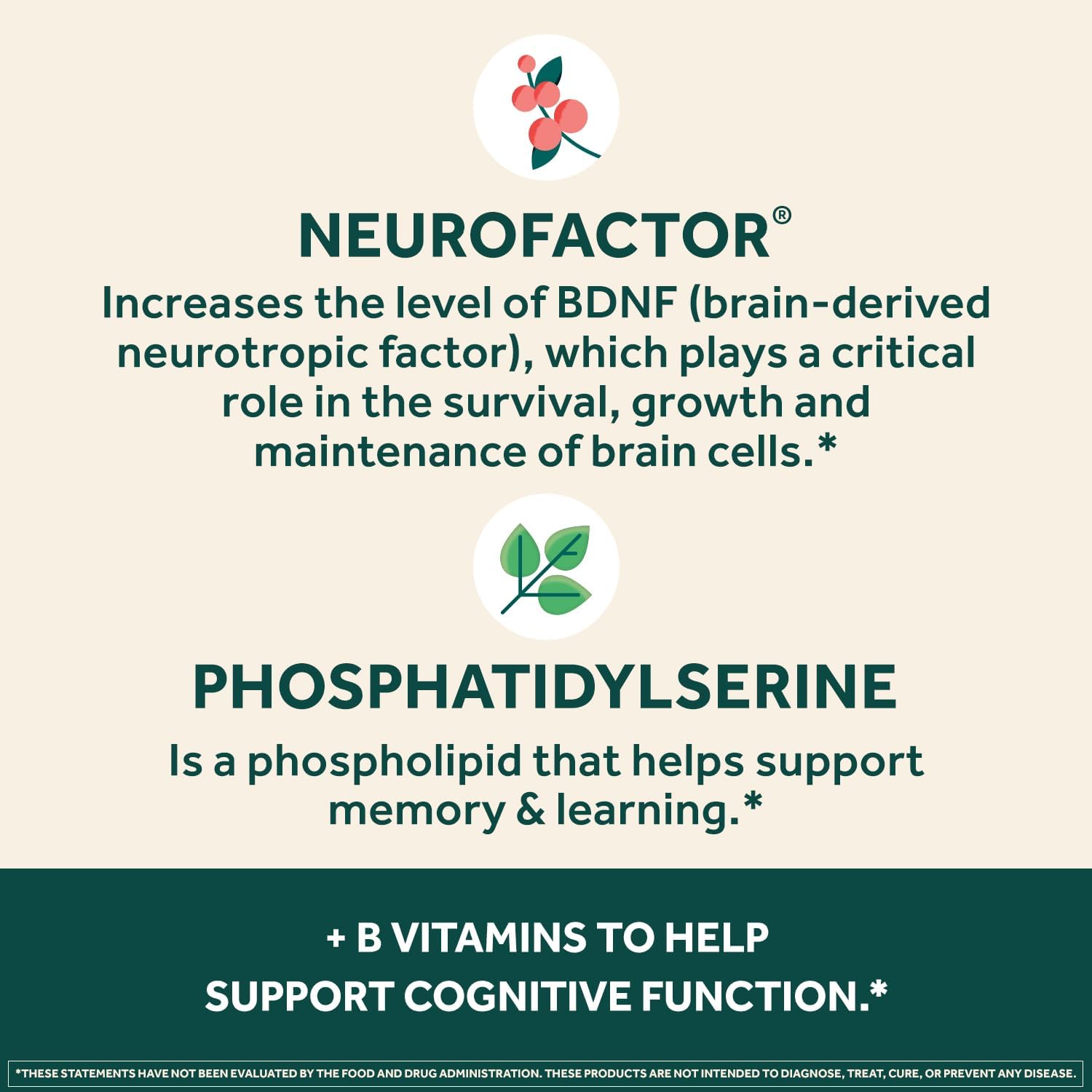NEURIVA Plus Brain Supplement for Memory, Focus and Concentration - görsel 4