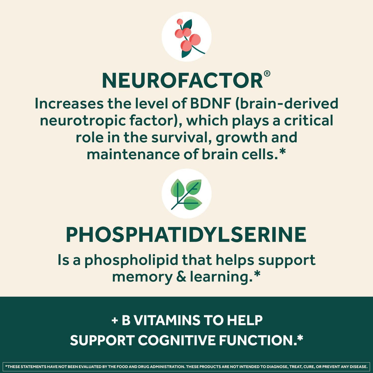 NEURIVA Plus Brain Supplement for Memory, Focus & Concentration, 60 Capsules (2 Pack) - görsel 5