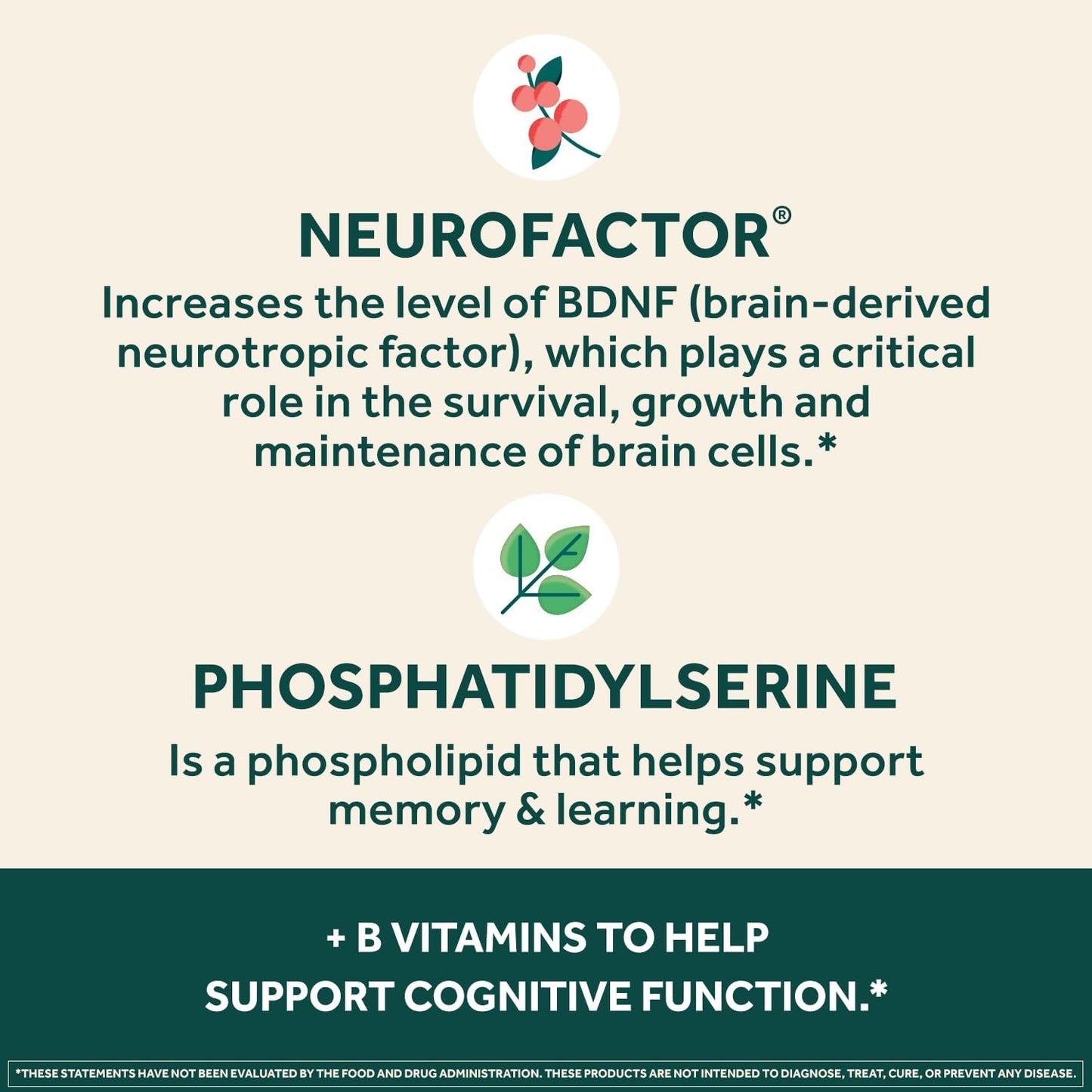 NEURIVA Plus Brain Supplement – Memory, Focus & Concentration with Phosphatidylserine and Neurofactor, 120 Capsules - görsel 5