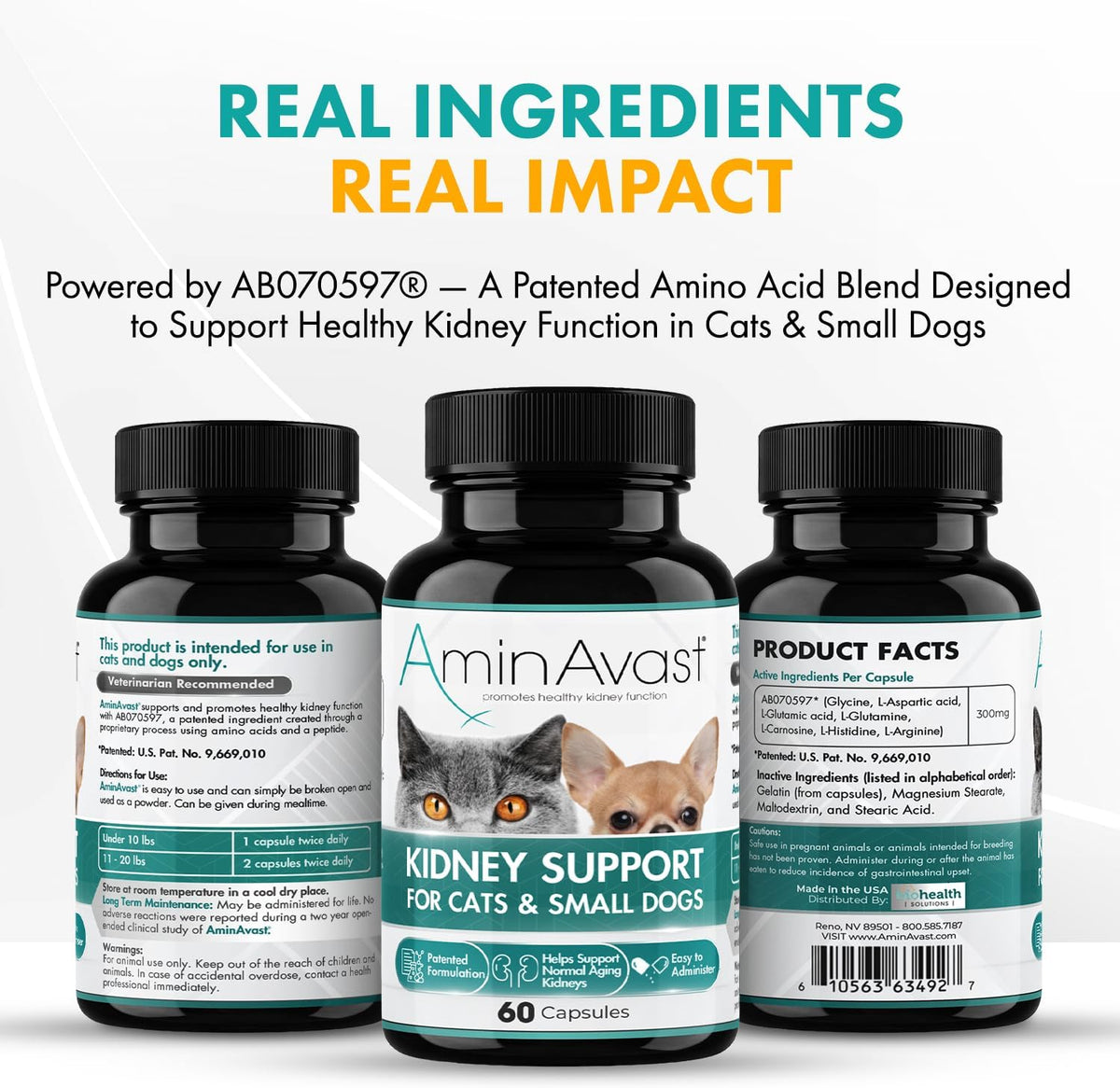 AminAvast Kidney Support Supplement for Cats and Small Dogs – 300 mg Three-Pack (60 Sprinkle Capsules) - görsel 4
