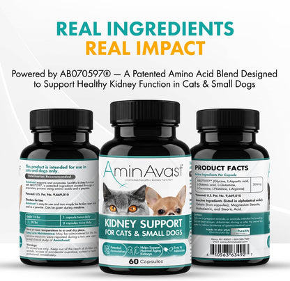 AminAvast Kidney Support Supplement for Cats and Small Dogs – 300 mg Three-Pack (60 Sprinkle Capsules)