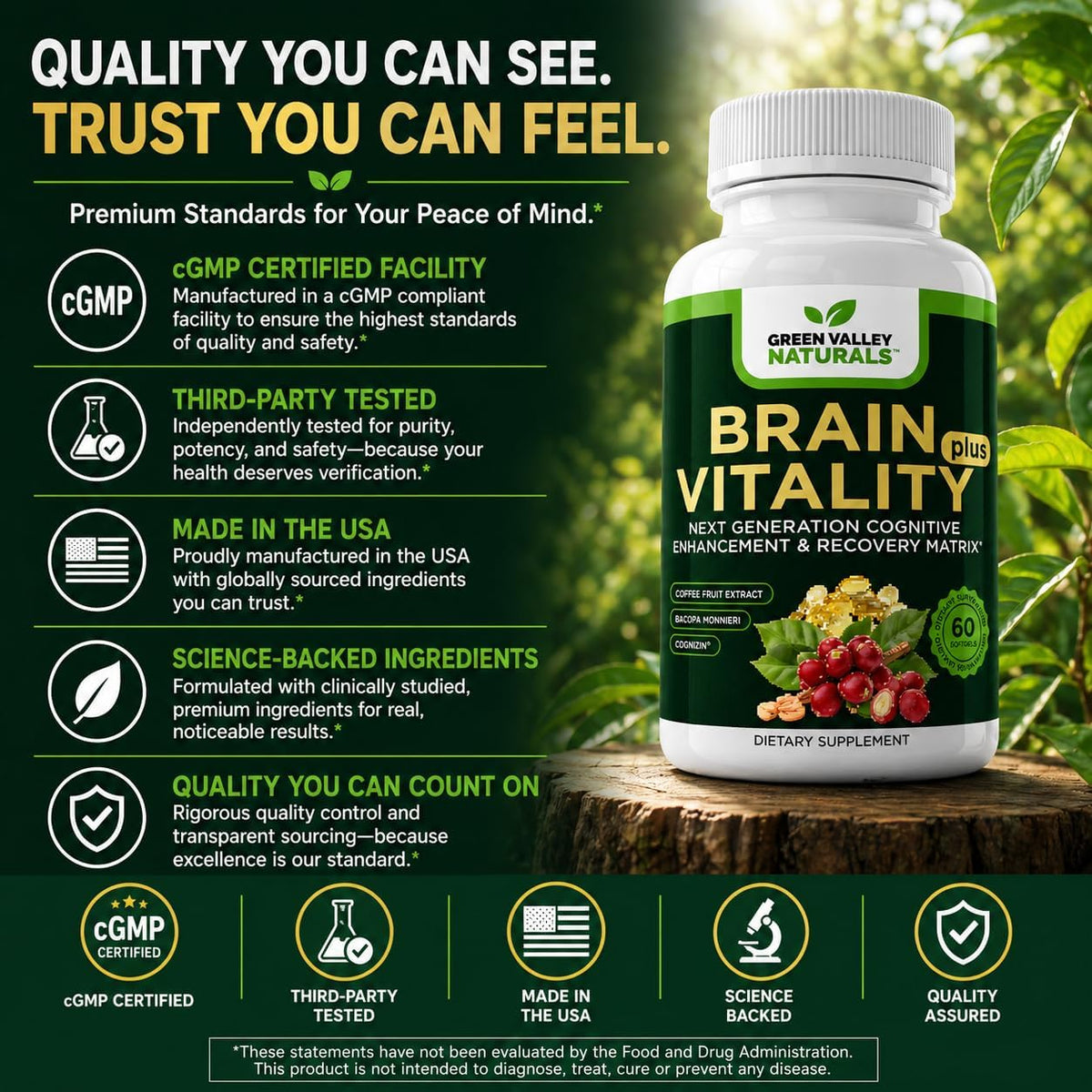 GREEN VALLEY NATURALS Brain Vitality Plus – Brain Health & Cognitive Support with Cognizin Citicoline, Bacopa Monnieri & DHA Omega-3 (60 Soft gel capsules) - görsel 8