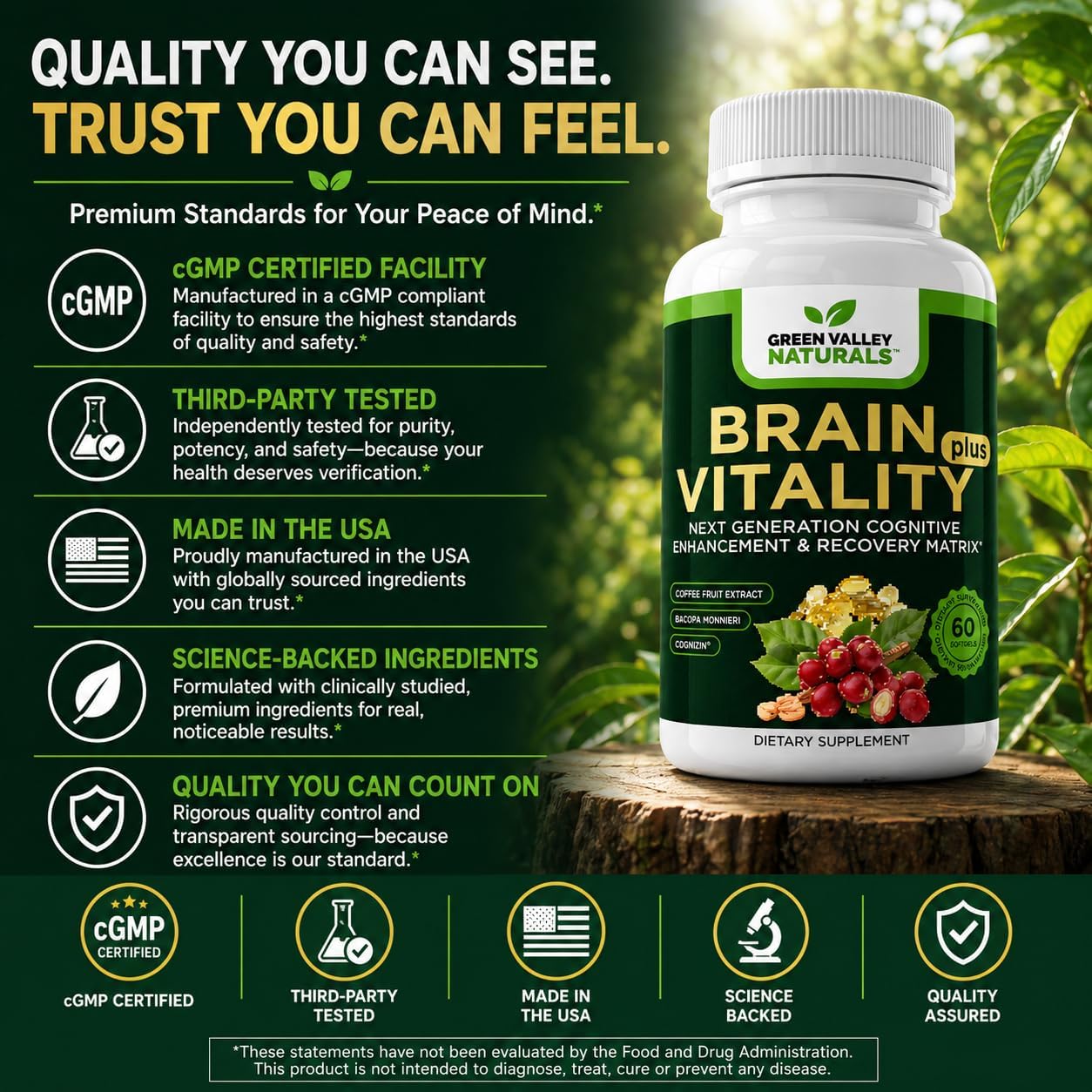 GREEN VALLEY NATURALS Brain Vitality Plus – Brain Health & Cognitive Support with Cognizin Citicoline, Bacopa Monnieri & DHA Omega-3 (60 Soft gel capsules) - görsel 8