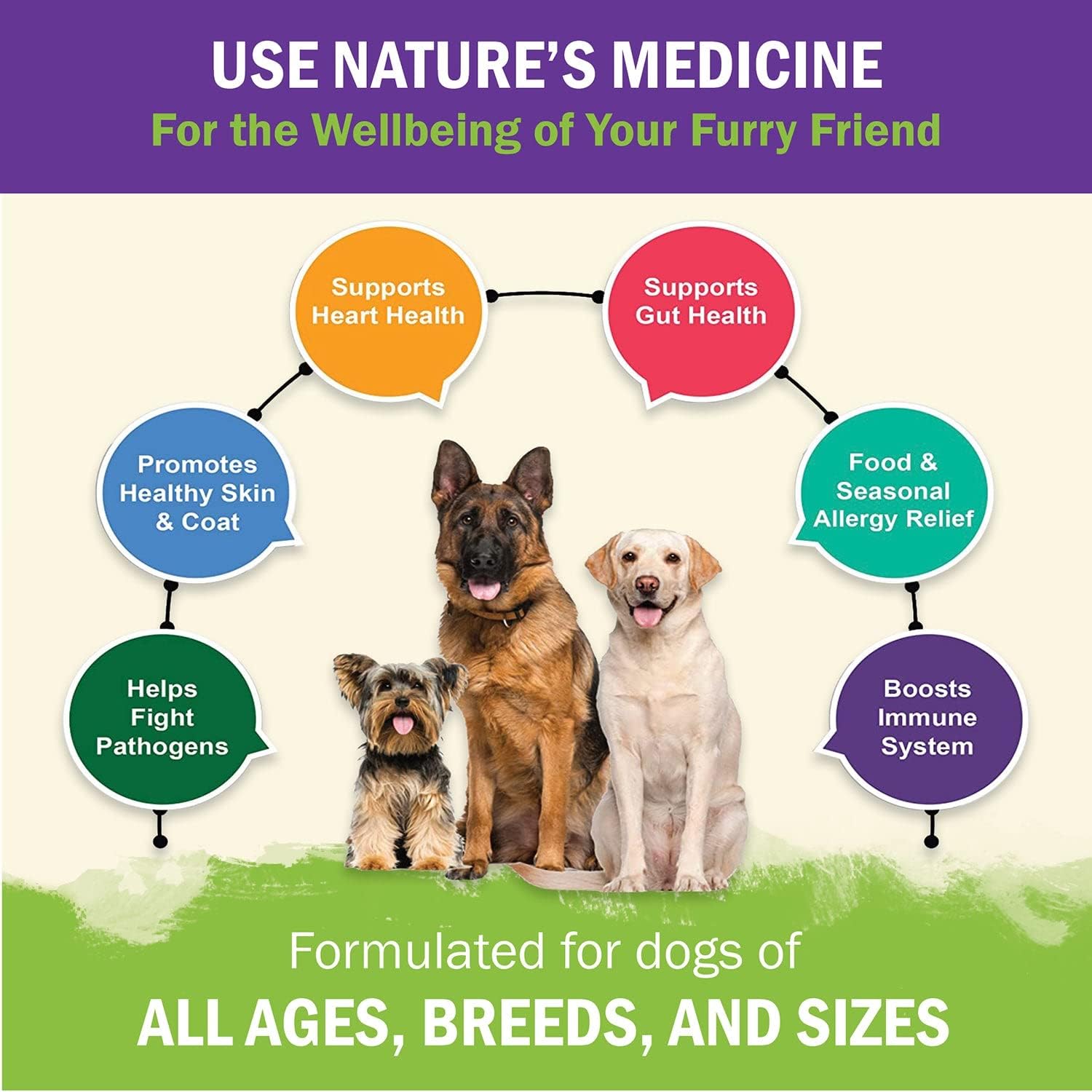 ZENAPET Dog Immune Support Premium Powder Topper – Turkey Tail, Spirulina & Beta-Glucan - görsel 5