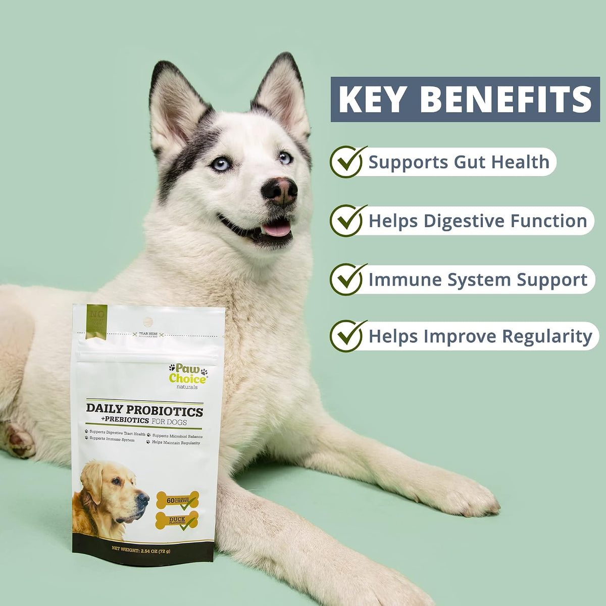 Paw Choice Probiotics for Dogs with Prebiotics - Daily Chews for Gut Health, Digestion, Regularity, and Immune Support - görsel 2