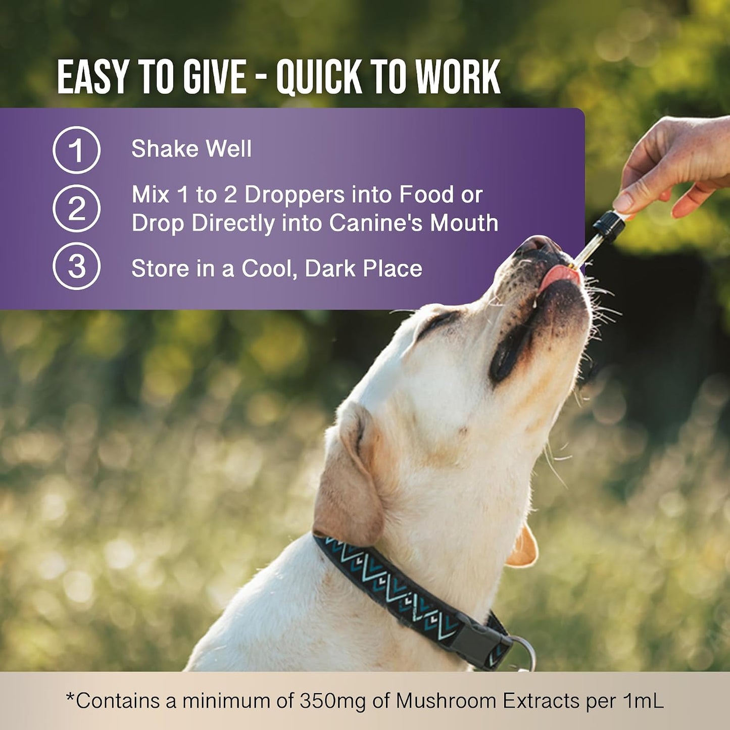 MycoDog Clarity - Cognitive Support Supplement for Dogs - Brain Health & Senior Dog Wellness with Functional Mushrooms & Adaptogens - görsel 5