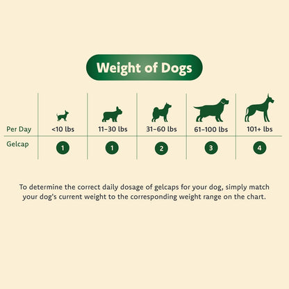 Ocu-GLO Vision Supplement for Medium to Large Dogs (5+ kg) - 90 Count