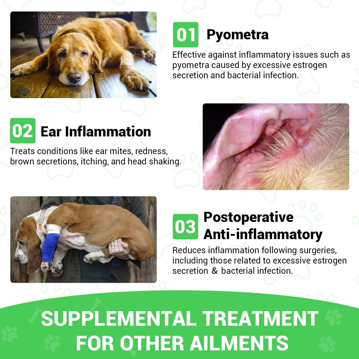 Milk Thistle for Dogs – Liver & Kidney Support, Natural Detox & Hepatic Health, with Wild Alaskan Salmon Oil & Curcumin, Omega-3 & Silymarins – Veterinarian-Formulated Herbal Supplement, 2 Oz (59 ml) (Pack of 2) - görsel 6