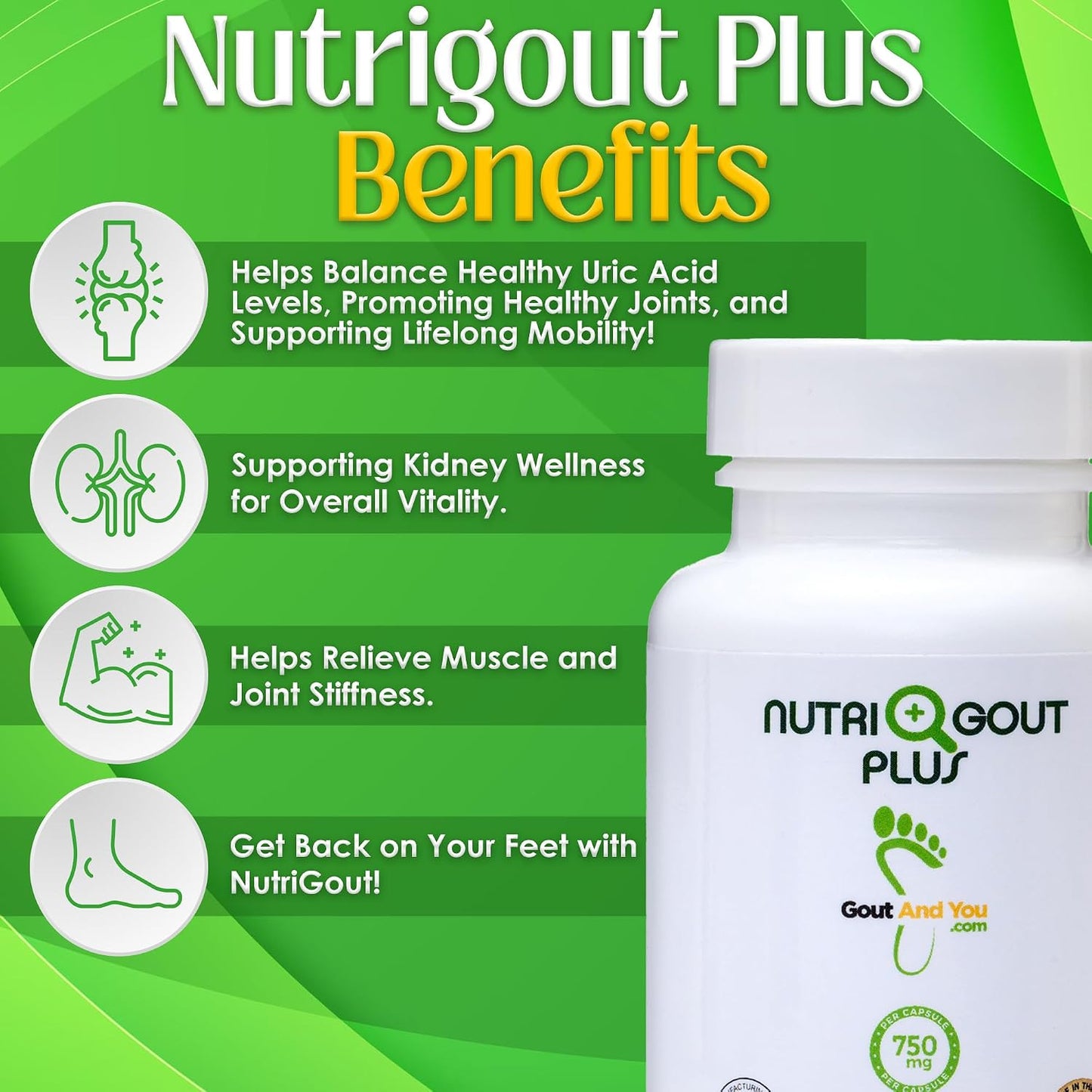 NutriGout Plus – Uric Acid Support Premium Formula – 60 Vegetarian Capsules - görsel 2