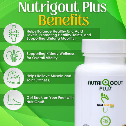 NutriGout Plus – Uric Acid Support Premium Formula – 60 Vegetarian Capsules
