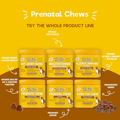 Dog Prenatal Vitamins for Pregnant & Nursing Dogs – Supports Healthy Pregnancy, Puppy Development & Lactation – with Folic Acid, Iron & Calcium – 120 Soft Chews