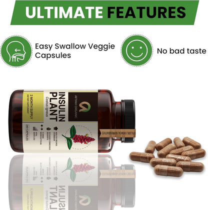 Afiyah Organic – Premium Quality Costus Igneus (Insulin Plant) Capsules – 240 Vegetable Capsules (2 Month Supply)