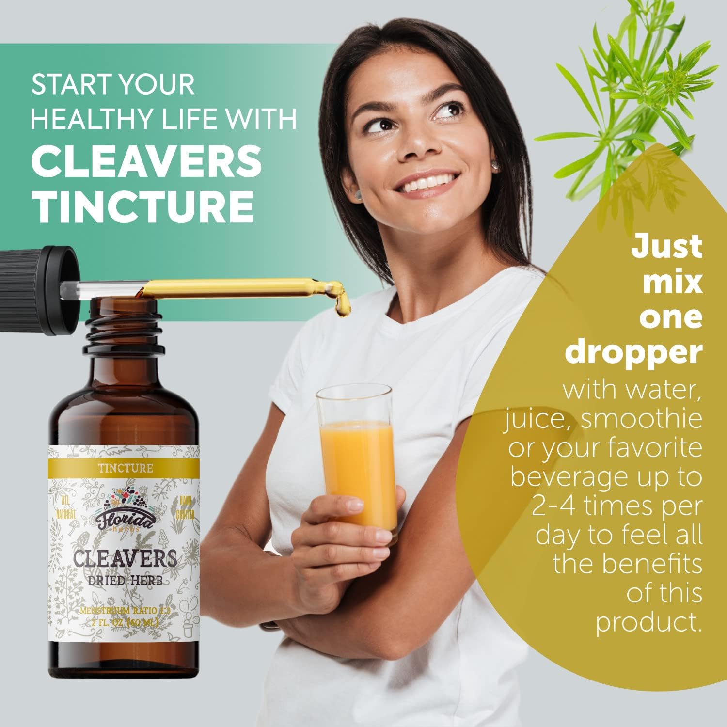 FLORIDA HERBS Organic Cleavers Tincture (Galium aparine) – 2 fl oz - görsel 2