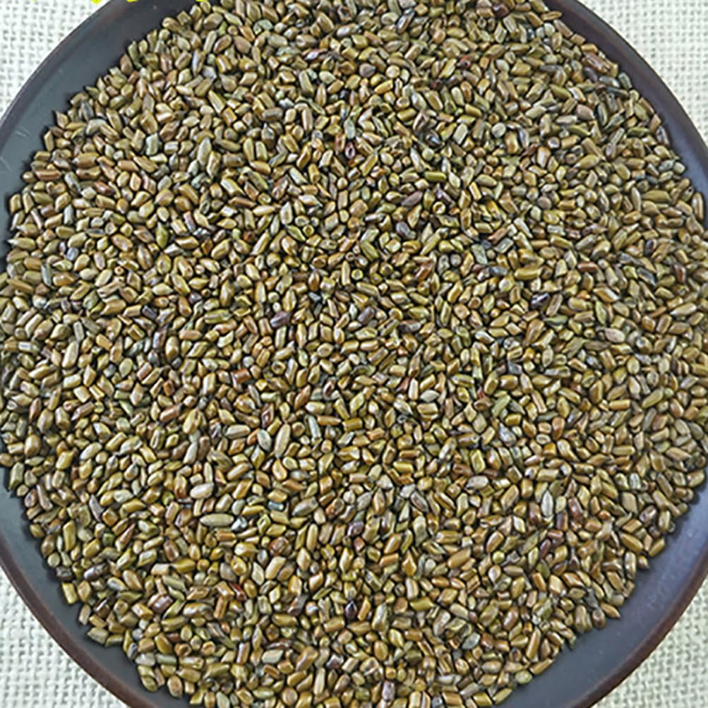 Semen Cassiae Jue Ming Zi (250g) - görsel 2