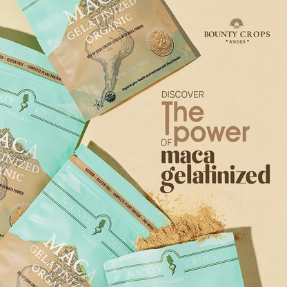 Organic Maca Powder Gelatinised 680 g Bag (1.5 lb), Energy & Vitality Booster, Non-GMO & Gluten-free, Peruvian Superfood, Certified Organic