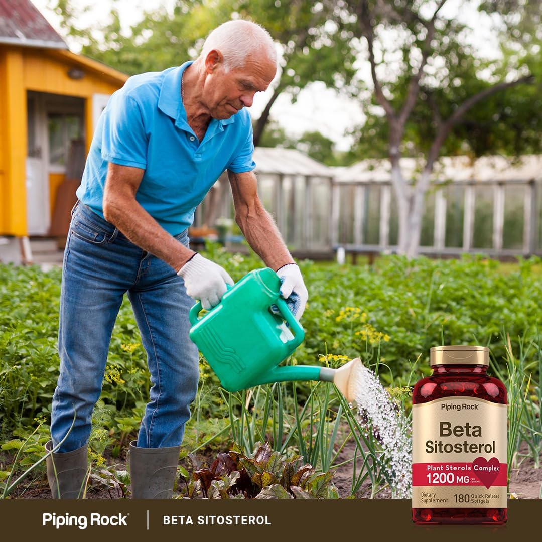 Piping Rock Beta Sitosterol Supplement for Men | 1200 mg | 180 Softgels | Plant Sterols Complex | Non-GM, Gluten-free - görsel 6