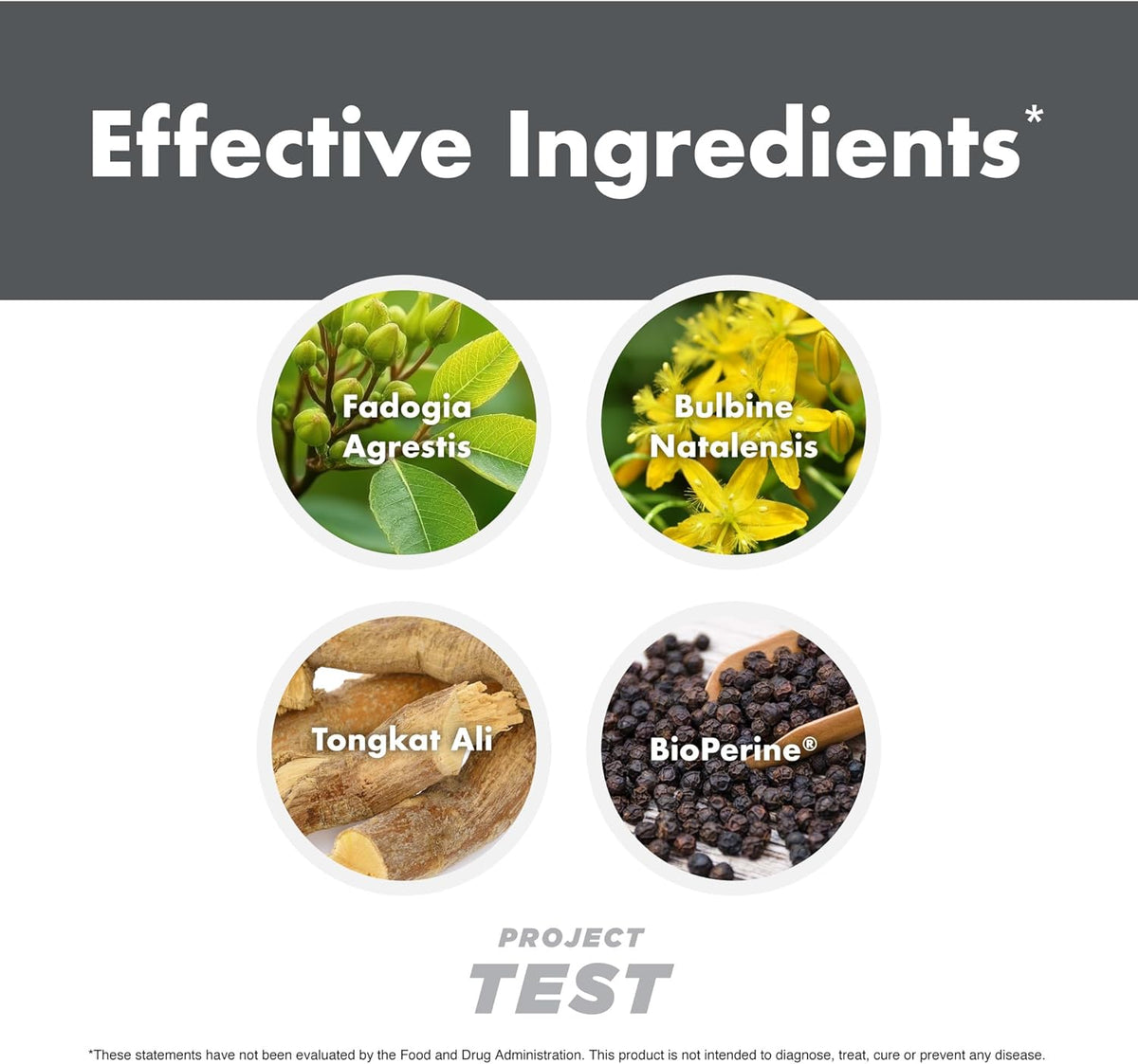 Anabolic Warfare Project Test - Testosterone Support Supplement with Botanicals - görsel 6