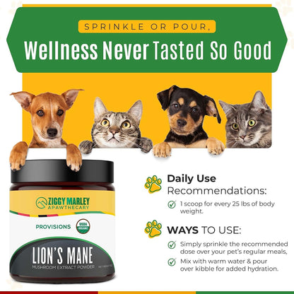 ZMA PETS Organic Lion's Mane Mushroom Powder for Dogs and Cats – Cognitive Support, USDA Organic, 45 Servings