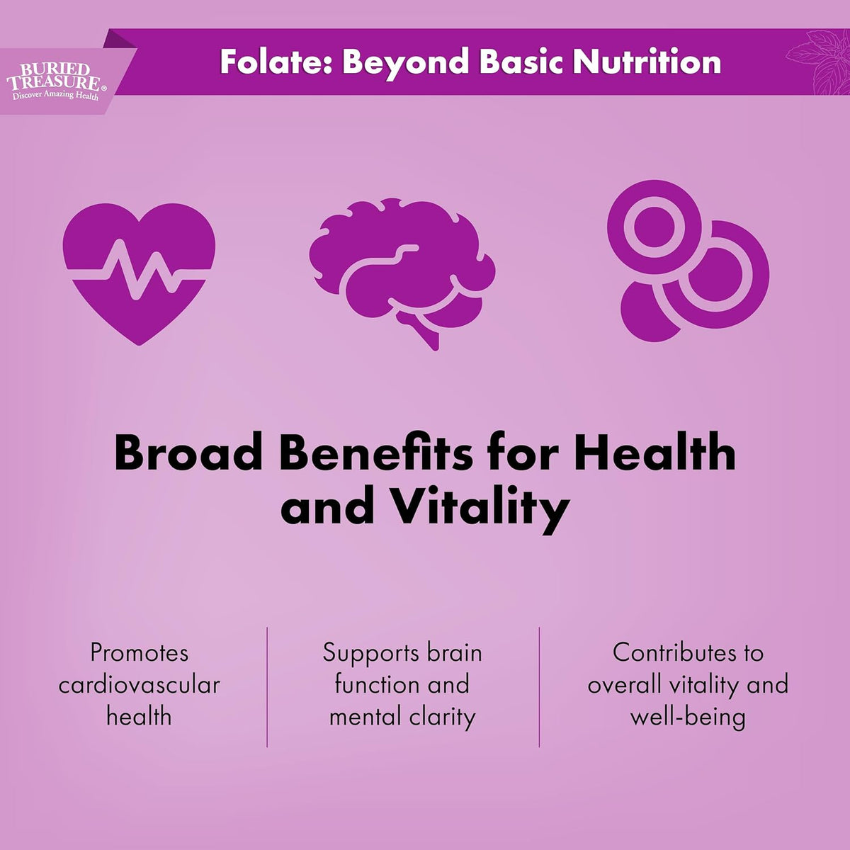 Buried Treasure Folate Drops - Methylated B-9 (Calcium L-5-Methyltetrahydrofolate), 500 mcg, Vegan, 120 Servings - görsel 5