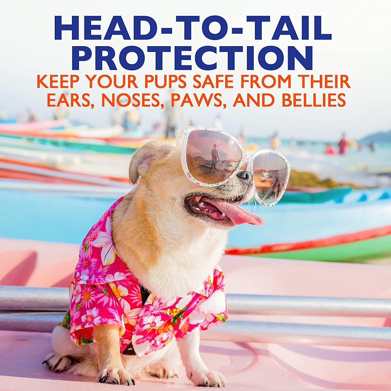 EBPP Dog Sunscreen Sun Skin Protector Spray 240 ml - Safe for All Breeds with No Zinc Oxide - Pet Protection and Moisturiser for Skin, Coat, Nose, Ears - görsel 5