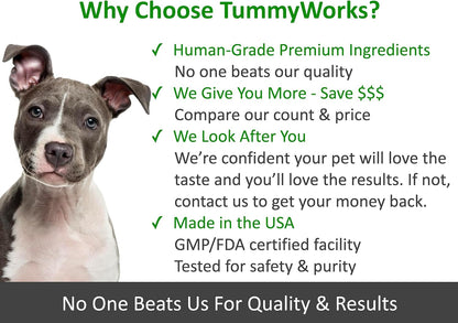 TummyWorks Probiotics for Dogs and Cats. 160 Scoops Probiotic Powder for Digestive Health, Gut, Immunity, Energy, Skin & Coat. 10 Strains, 5 Billion CFUs with 6 Enzymes & Prebiotics. Made in USA.