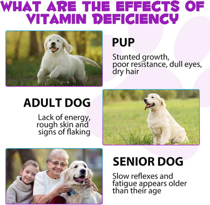 15 in 1 Dog Multivitamin Liquid Drops - Vitamins for Heart, Joints, Skin & Coat, Urinary Tract, Immune Support (60 ml)