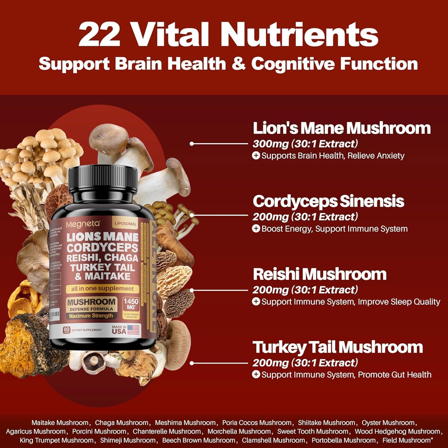 MEGNETA 22-in-1 Multi Mushrooms Capsules - Lion's Mane, Cordyceps, Reishi, Turkey Tail - 120 Capsules - görsel 3