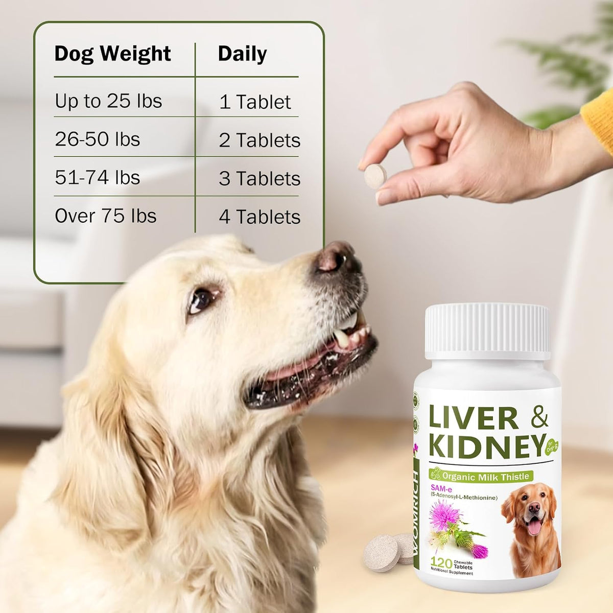 Milk Thistle & SAM-E for Dogs - Advanced Liver & Kidney Support with Silymarin, Detox Supplement - 120 Chewable Tablets - görsel 6