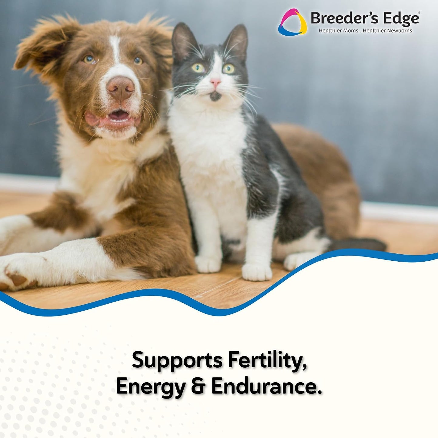 Breeder’s Edge Oxy Stud Male Supplement for Dogs & Cats – 60 Soft Chews - görsel 2