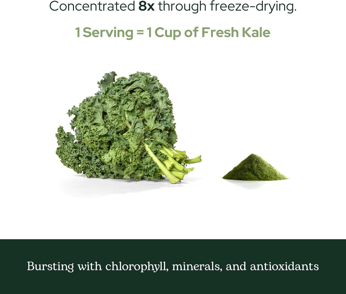 Eclectic Herb Organic Kale Powder - Superfood Supplement (91g) - görsel 8