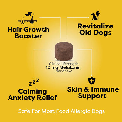 Doc Itchy Rejuvenating Hair-Grower Dog Chews – Fibre blend: Vegan bacon-flavoured, gluten-free, and non-GMO—safe – Image 4