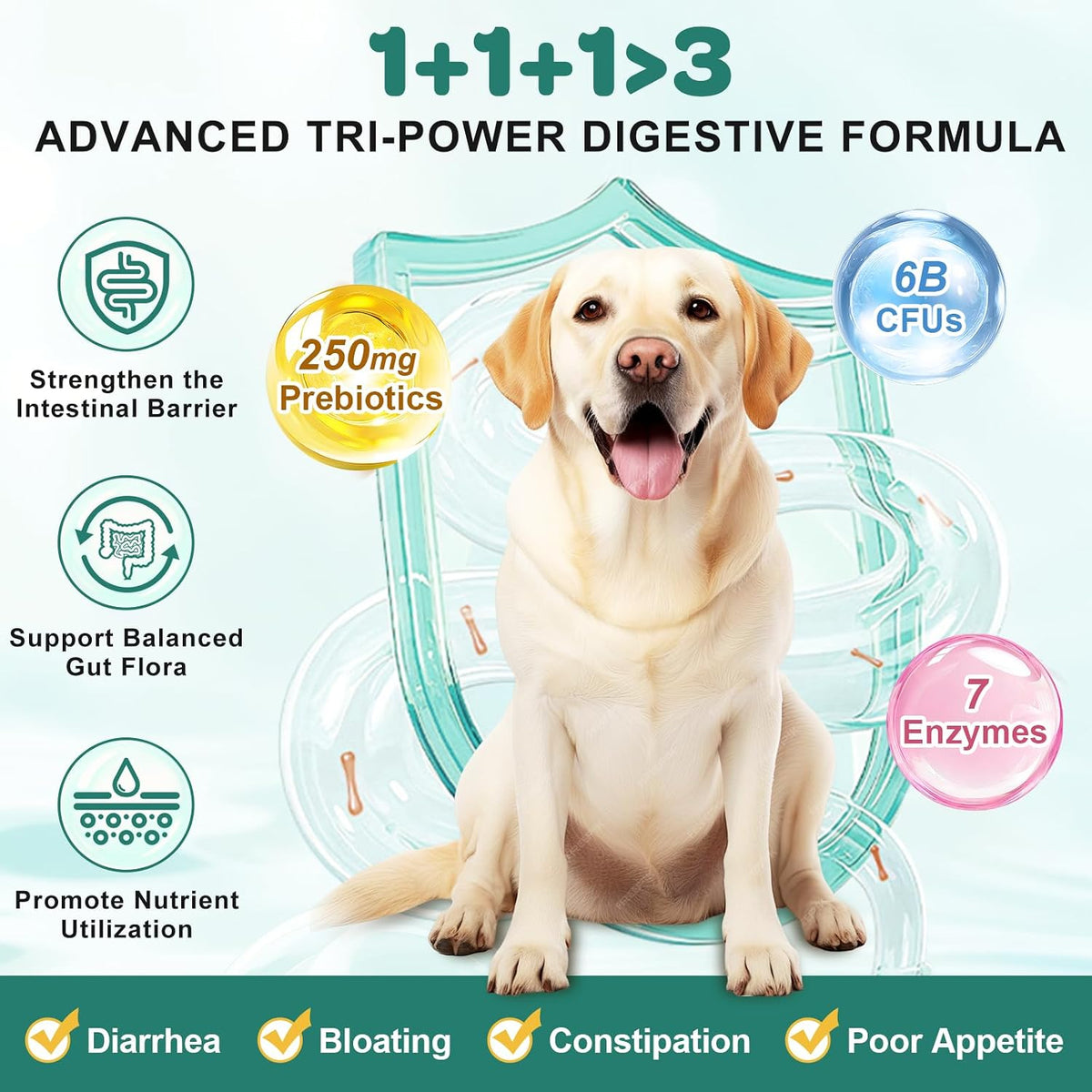 ZEBORA Probiotics for Dogs – 180 Freeze-Dried Chews with 6 Billion CFUs, Digestive Enzymes, Prebiotics, Omega-3 & 6 and Vitamins for Digestive Health and Immune Support - görsel 3