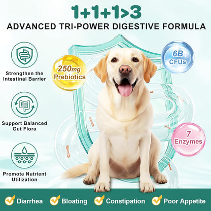 ZEBORA Probiotics for Dogs – 180 Freeze-Dried Chews with 6 Billion CFUs, Digestive Enzymes, Prebiotics, Omega-3 & 6 and Vitamins for Digestive Health and Immune Support